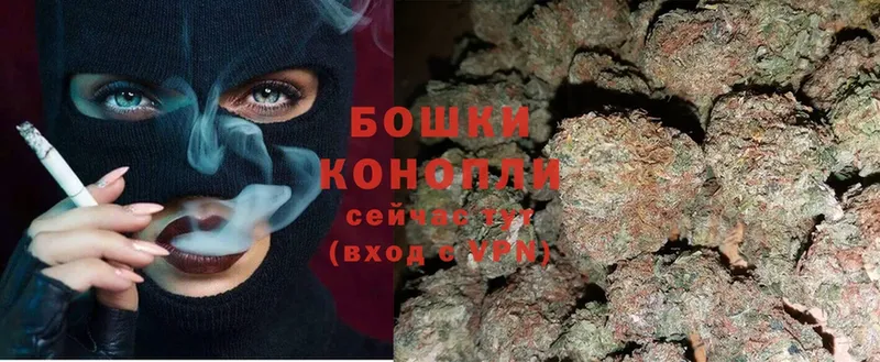 Шишки марихуана SATIVA & INDICA  наркота  Каменка 